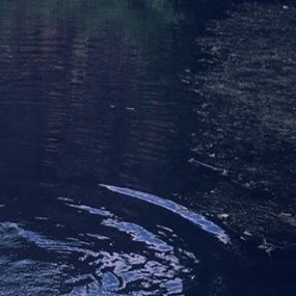 Meet your Posher, Steelo